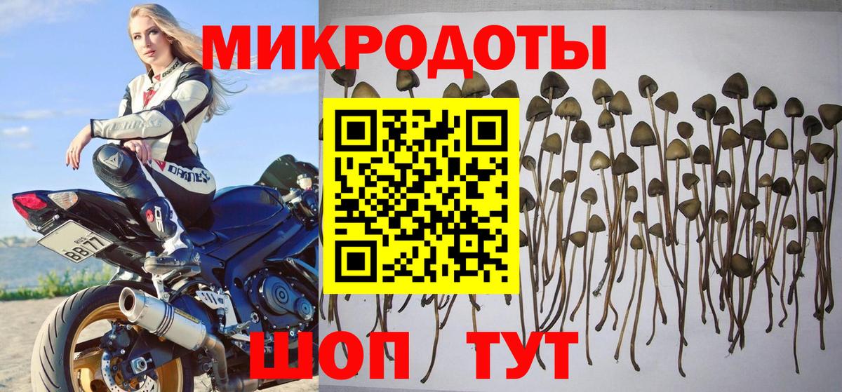 Псилоцибиновые грибы MAGIC MUSHROOMS  Зерноград 