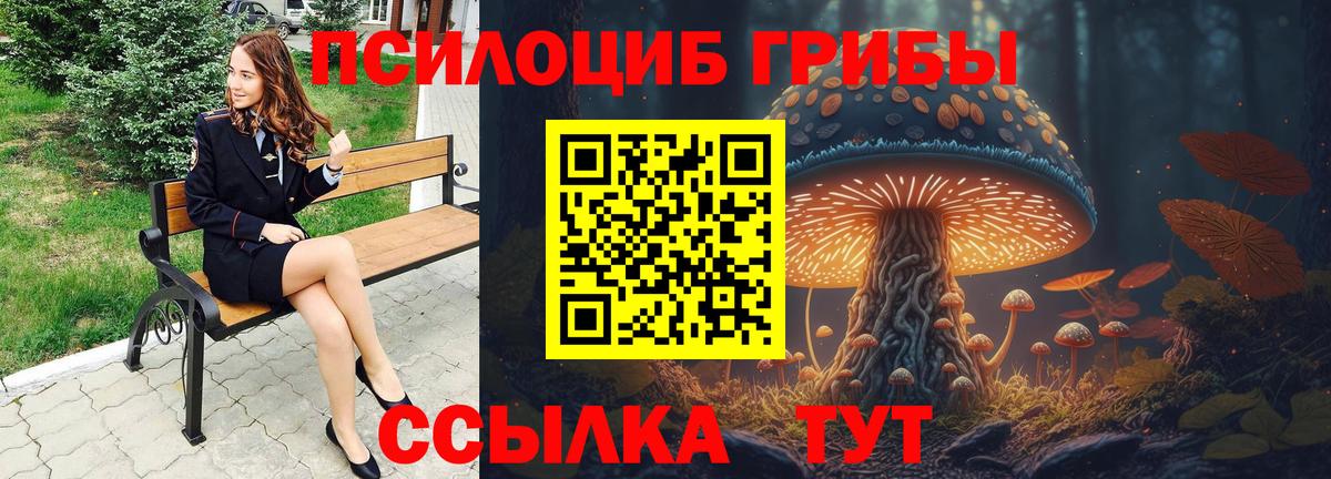 Меф Зерноград
